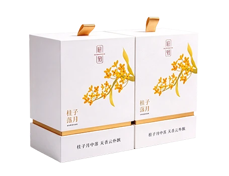 Telescopic Sleeve Rigid Box